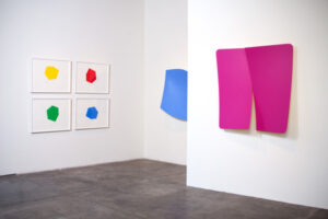 allsorts-scott-white-contemporary-art-2017_004