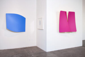 allsorts-scott-white-contemporary-art-2017_005